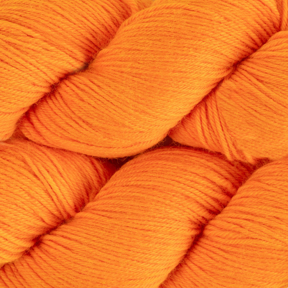 BRESNI&#39;S MERINO - CELEBRATION