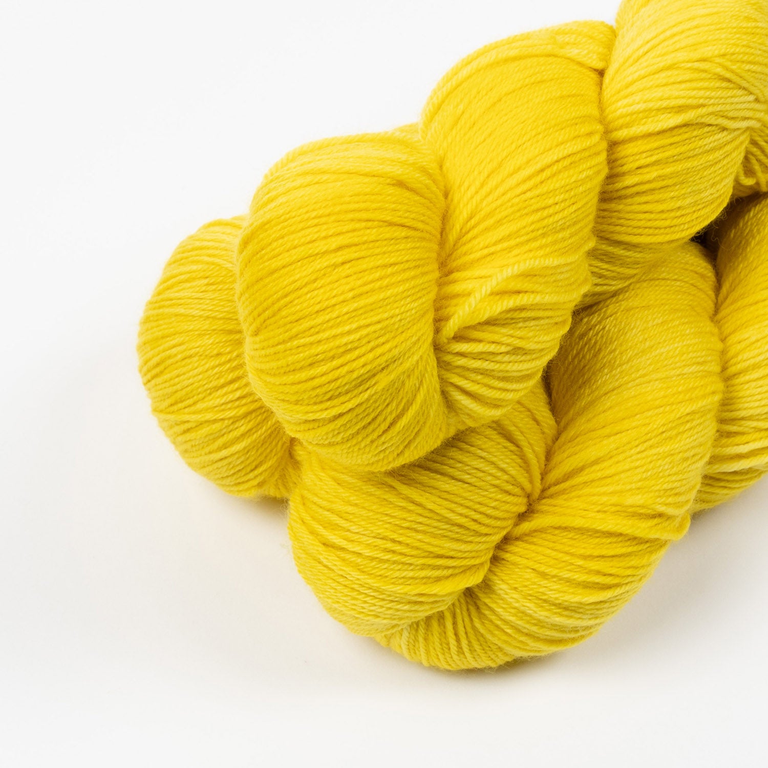 BRESNI'S MERINO - DUTCH MASTER