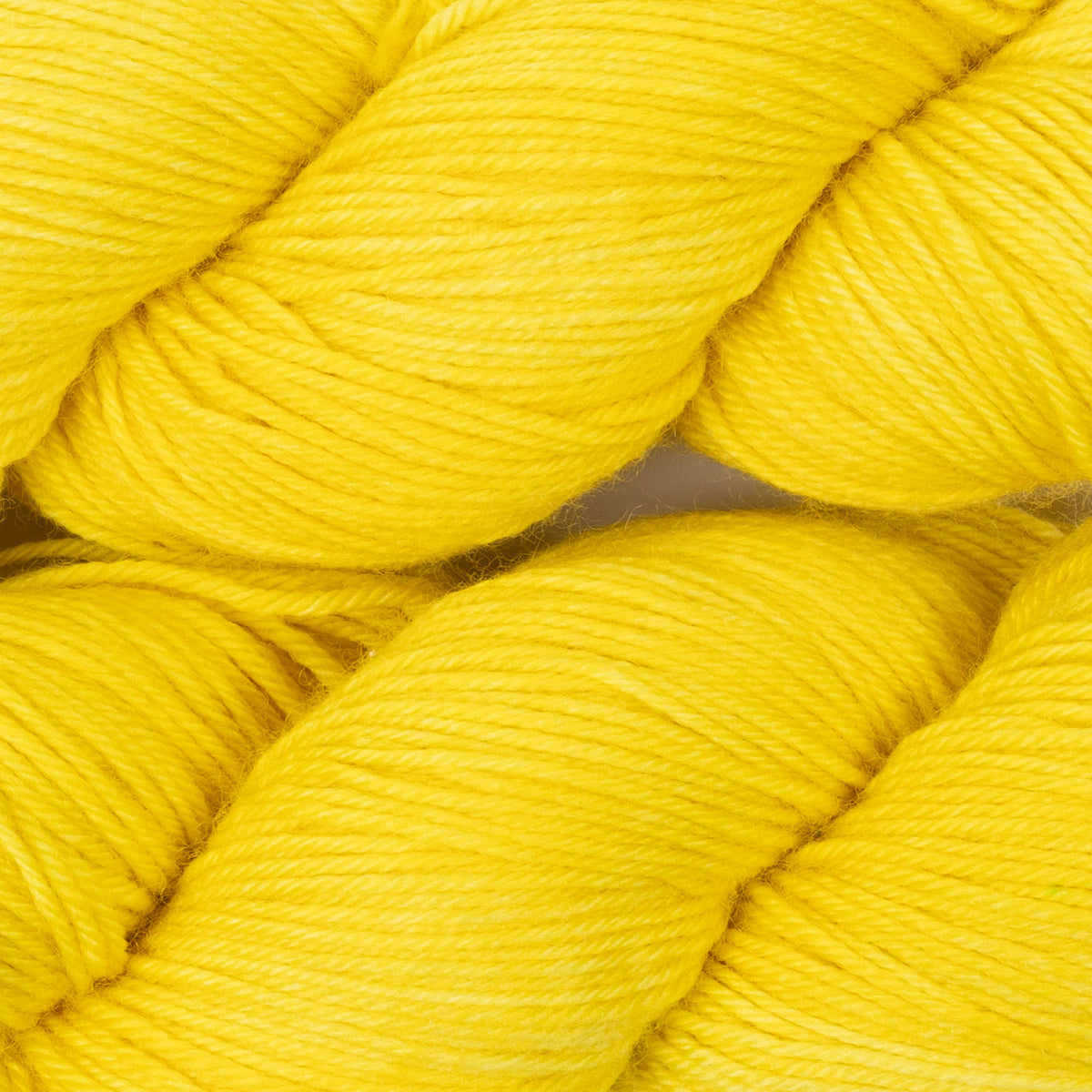 Bresni's Merino - Dutch Master