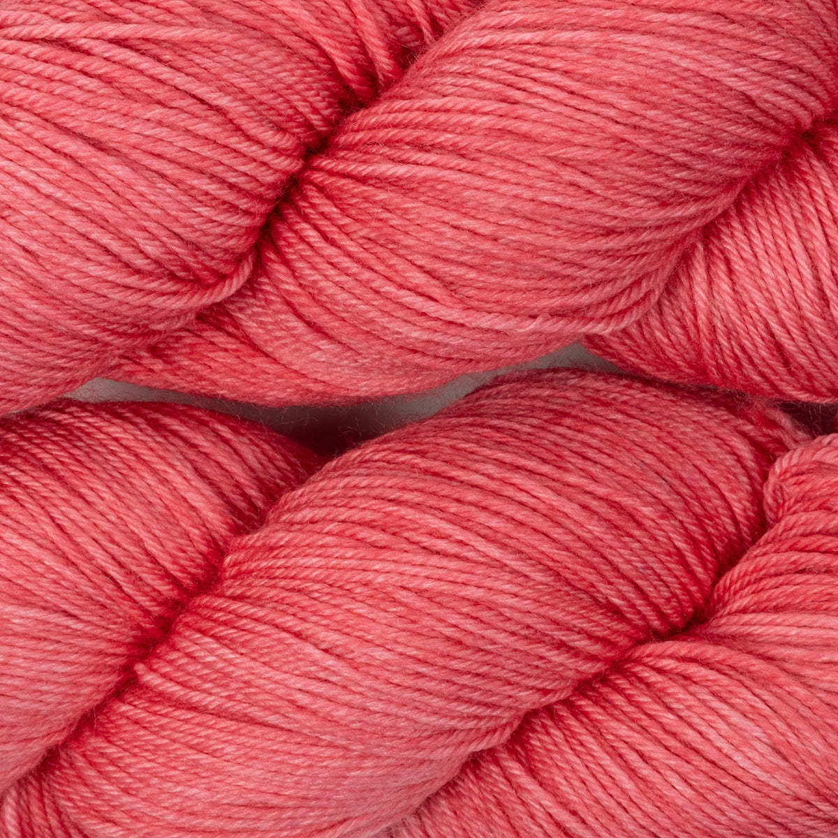 BRESNI&#39;S MERINO - FOXTROT