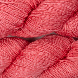 BRESNI'S MERINO - FOXTROT