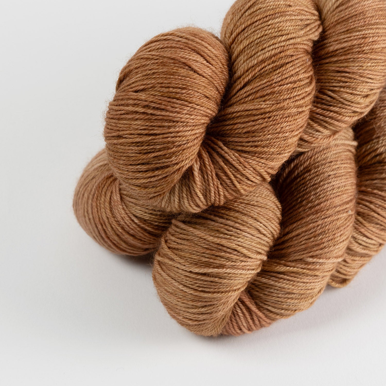 BRESNI'S MERINO - PLANTED BULBS