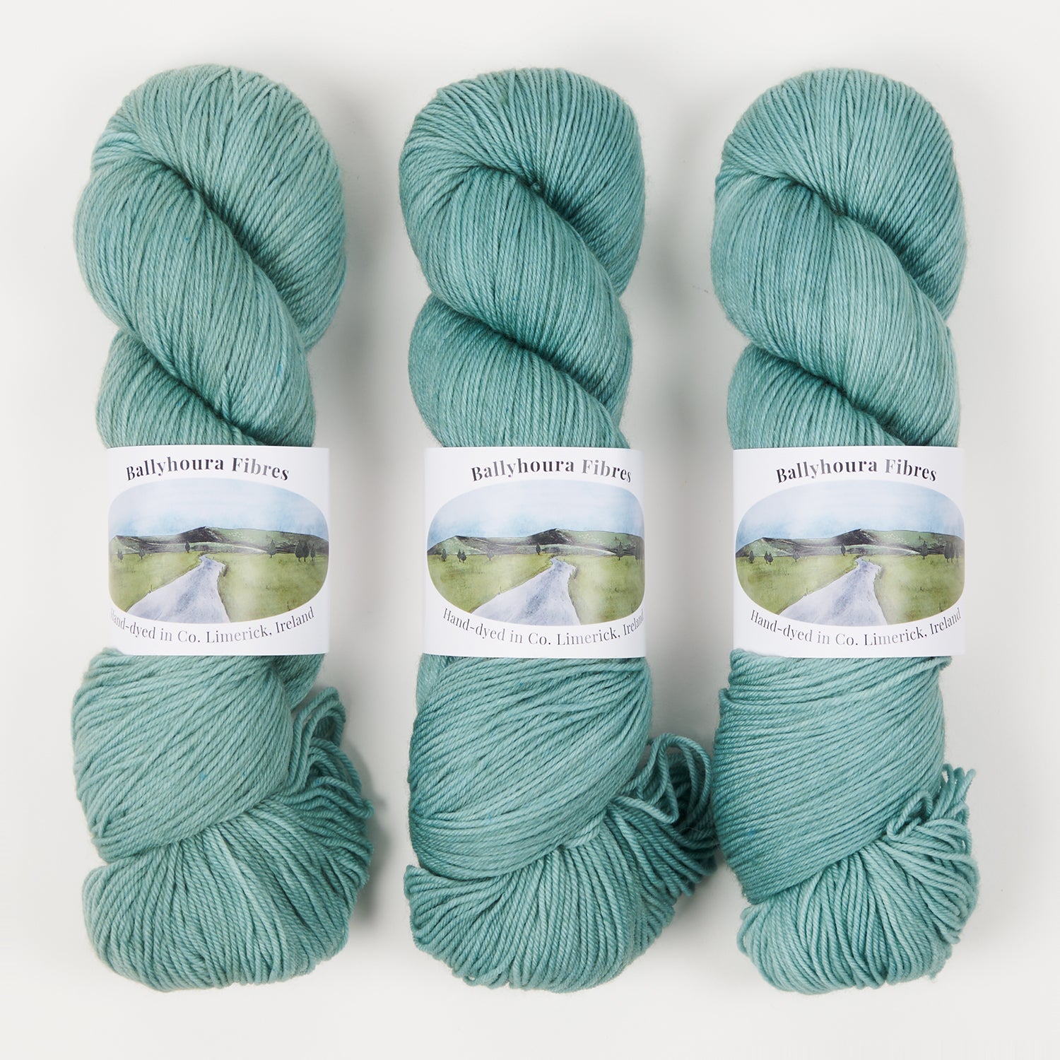 Ballyhoura Fibres 4PLY SOCK - LITTLE WOLF Merino wool Nylon Fingering green turquoise Yarn