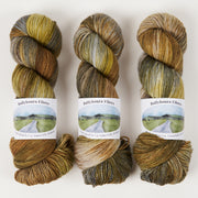 Ballyhoura Fibres 4PLY SOCK - BRECON BEACONS NATIONAL PARK Merino wool Nylon Fingering brown Yarn