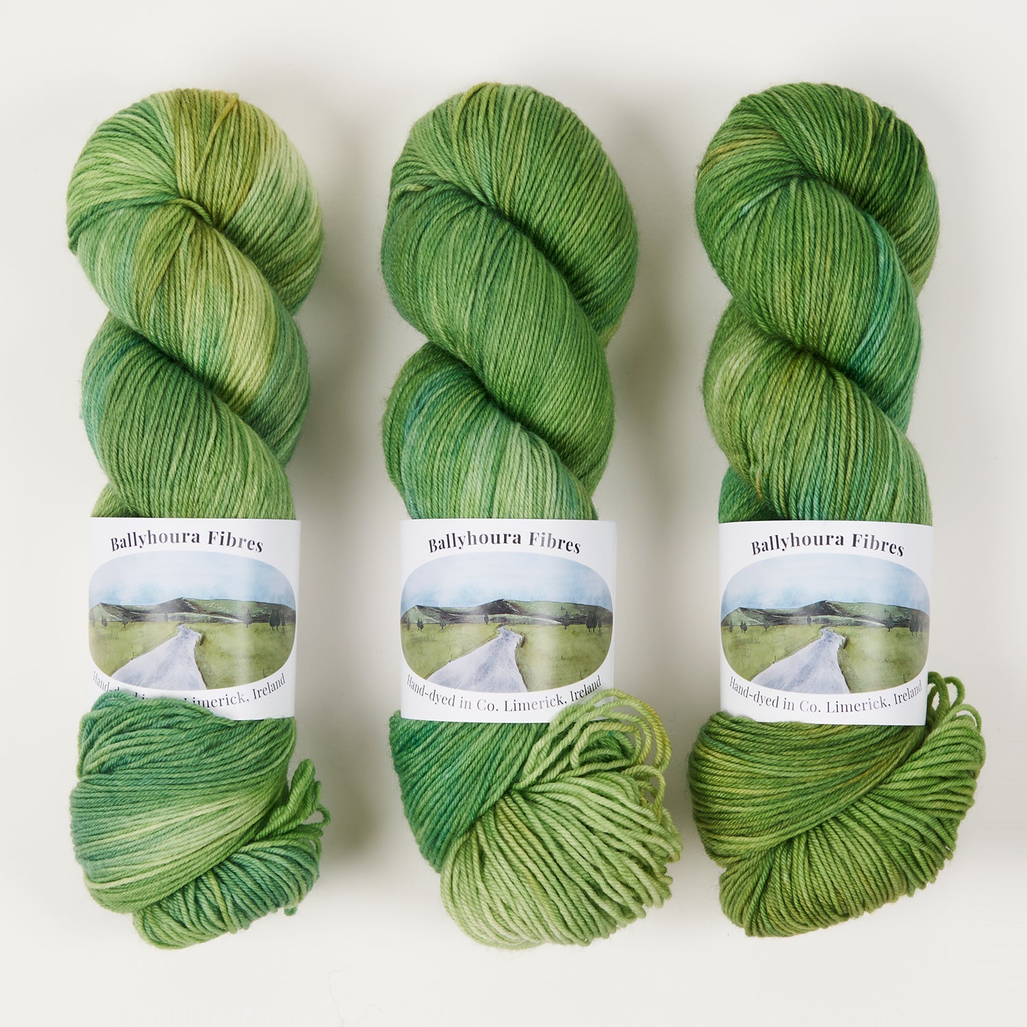 Ballyhoura Fibres 4PLY SOCK - CATALINA KELP Merino wool Nylon Fingering green Yarn