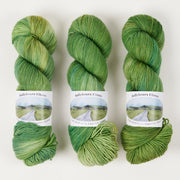 Ballyhoura Fibres 4PLY SOCK - CATALINA KELP Merino wool Nylon Fingering green Yarn