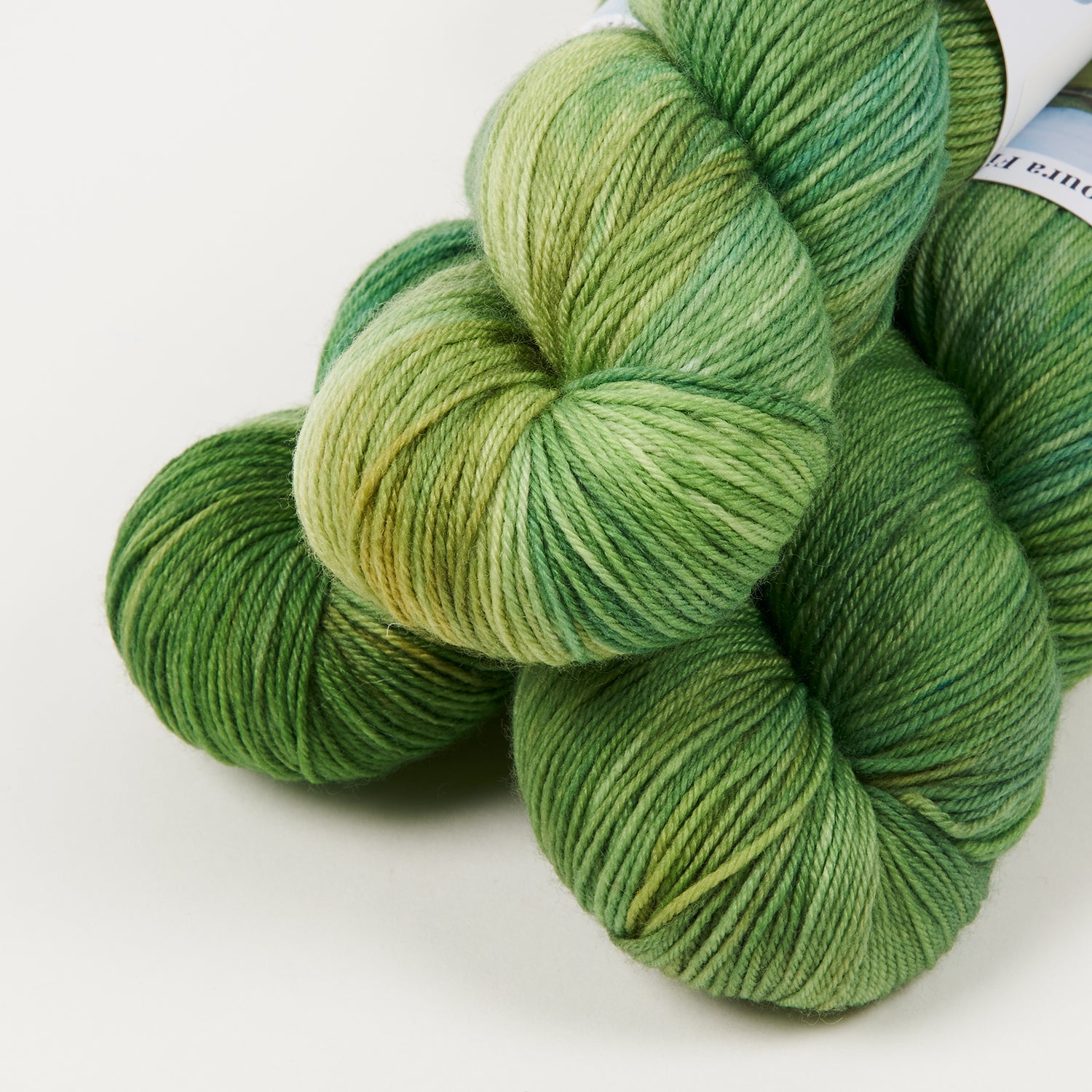 4PLY SOCK - CATALINA KELP