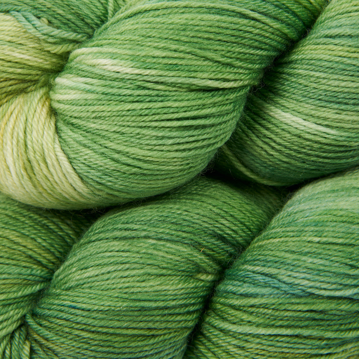 4PLY SOCK - CATALINA KELP