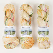 Ballyhoura Fibres 4PLY SOCK - DESERT BLOOM Merino wool Nylon Fingering cream multicolour Yarn