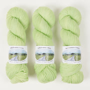 Ballyhoura Fibres 4PLY SOCK - ISLE Merino wool Nylon Fingering green Yarn