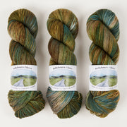 Ballyhoura Fibres 4PLY SOCK - LOCH LOMOND NATIONAL PARK Merino wool Nylon Fingering green brown Yarn