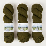 Ballyhoura Fibres 4PLY SOCK - OLIVE BRANCH Merino wool Nylon Fingering green Yarn