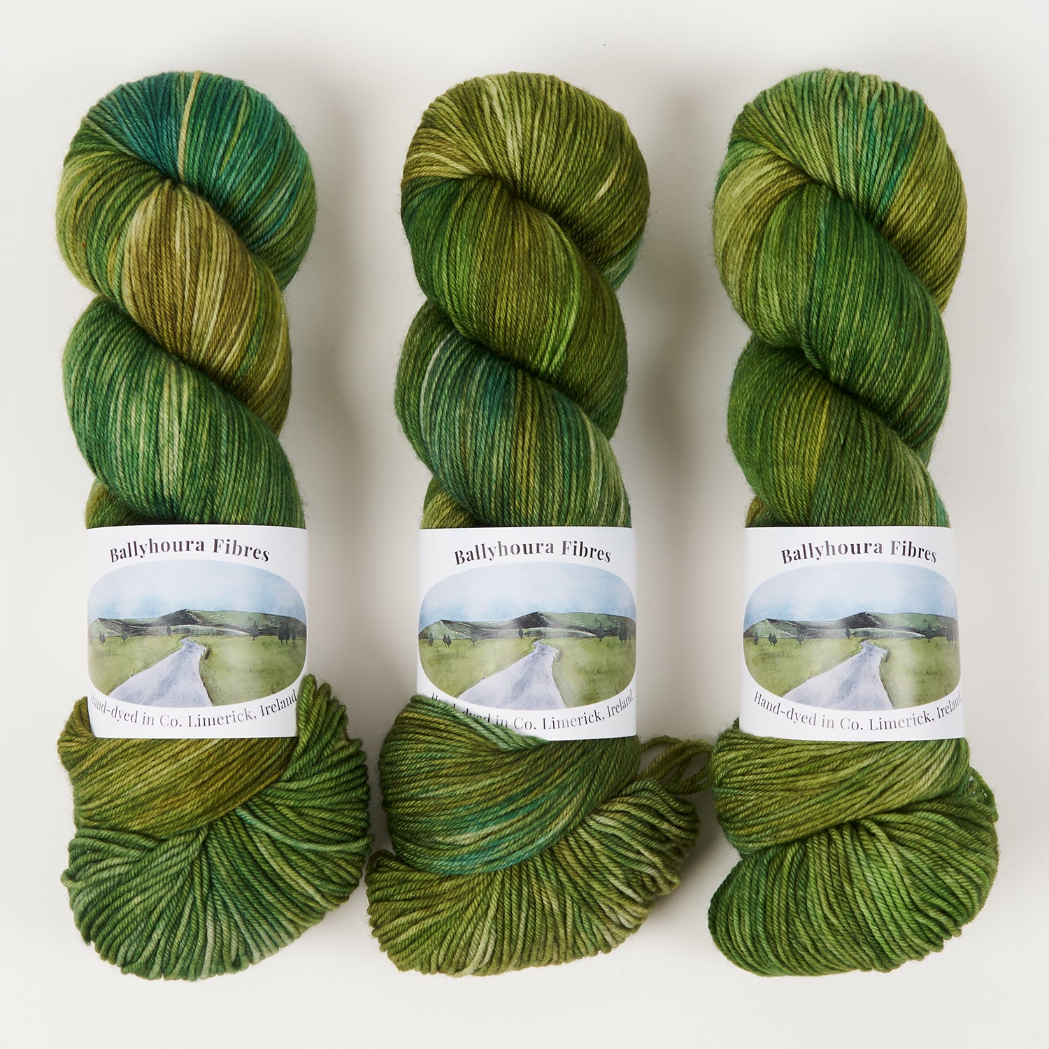 Ballyhoura Fibres 4PLY SOCK - WICKLOW MOUNTAIN NATIONAL PARK Merino wool Nylon Fingering green Yarn