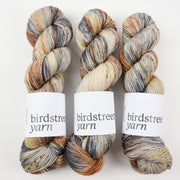 Birdstreet Yarn BIRDSTREET BFL - KESTREL BFL Wool Blue Faced Leicester Nylon Fingering beige brown multicolour Yarn