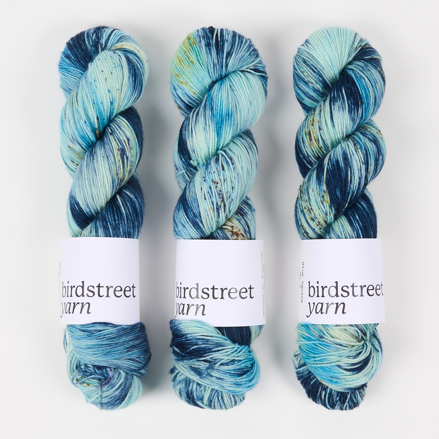Birdstreet Yarn BIRDSTREET BFL - BLUE IGUANA BFL Wool Blue Faced Leicester Nylon Fingering turquoise blue Yarn