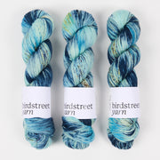 Birdstreet Yarn BIRDSTREET BFL - BLUE IGUANA BFL Wool Blue Faced Leicester Nylon Fingering turquoise blue Yarn