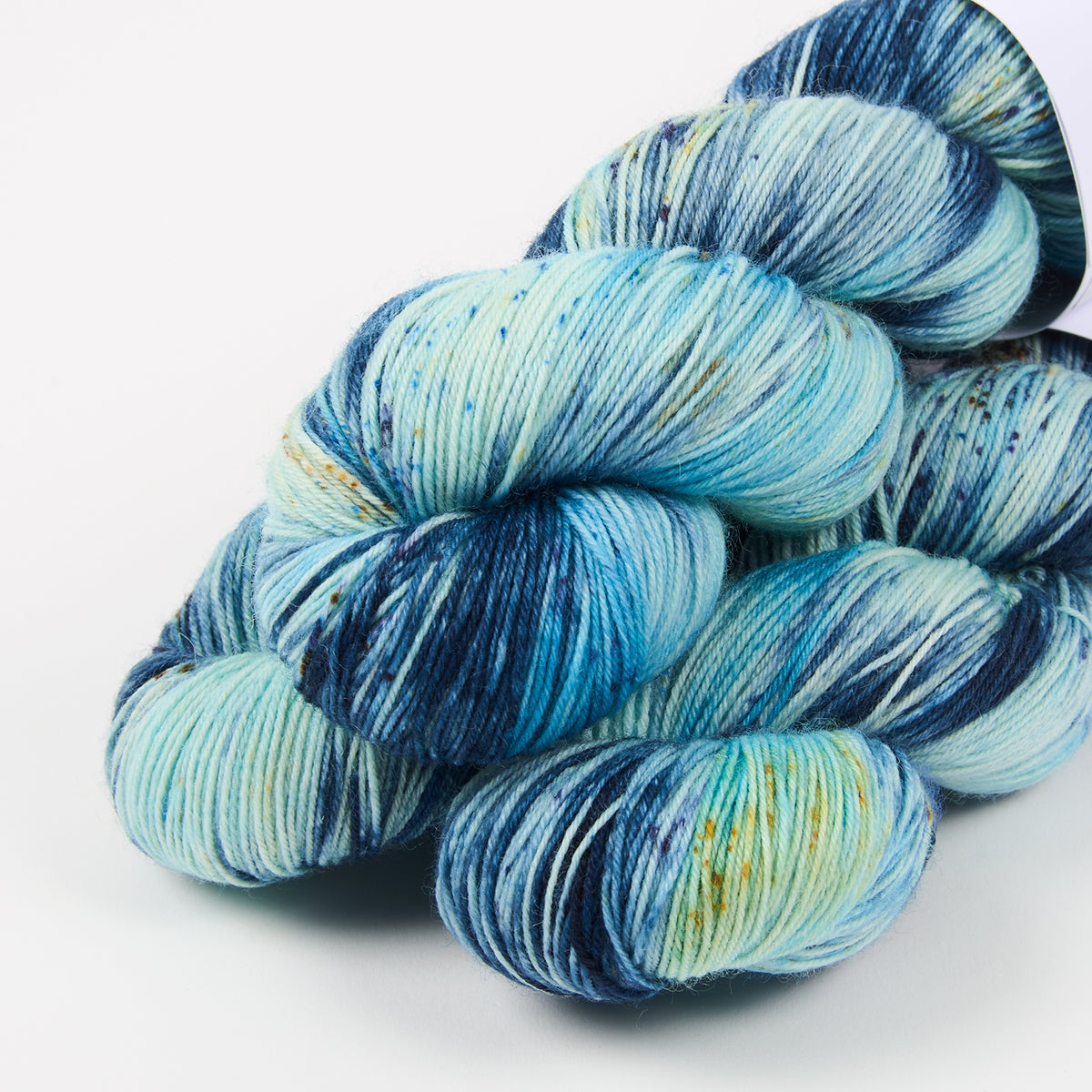 BIRDSTREET BFL - BLUE IGUANA