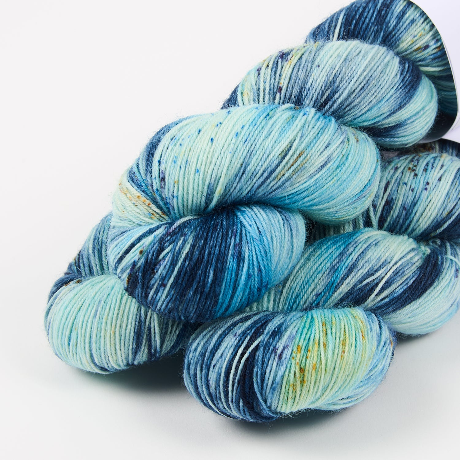BIRDSTREET BFL - BLUE IGUANA