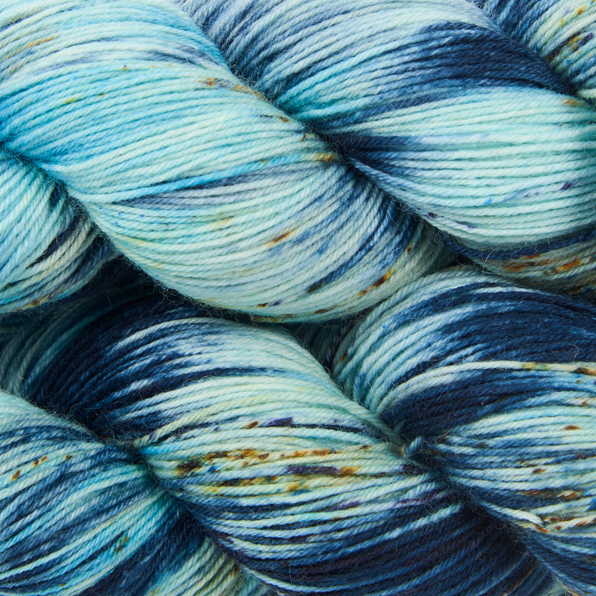 BIRDSTREET BFL - BLUE IGUANA