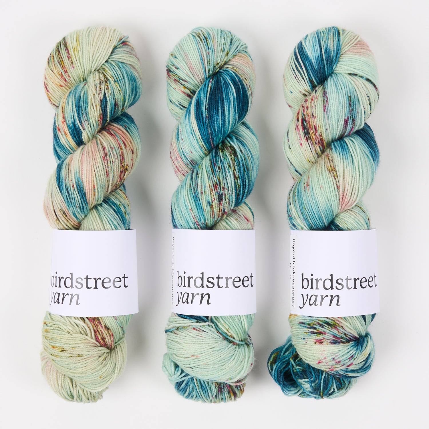 Birdstreet Yarn BIRDSTREET BFL - DOYOUTHINKHESAURUS? BFL Wool Blue Faced Leicester Nylon Fingering turquoise blue multicolour Yarn