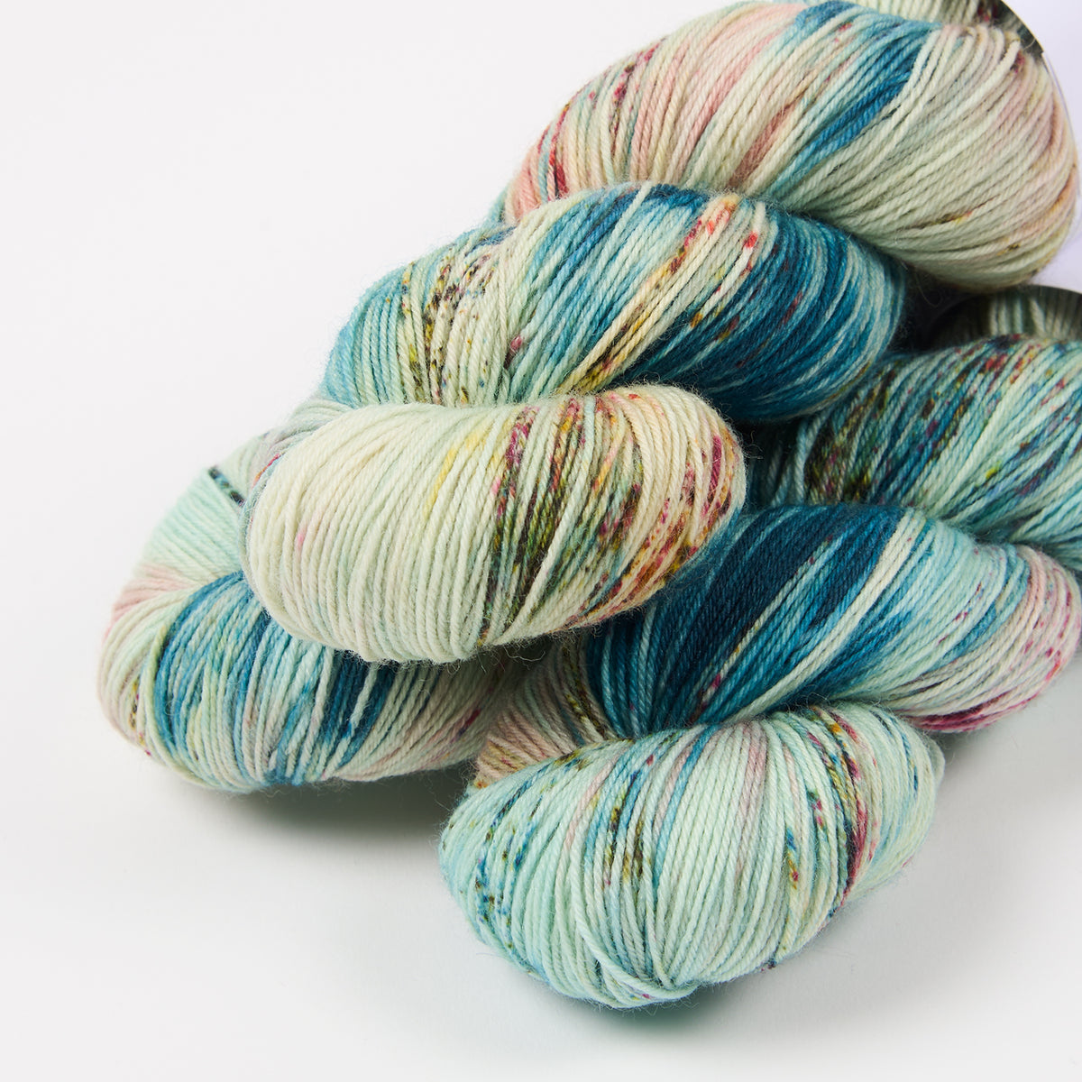 BIRDSTREET BFL - DOYOUTHINKHESAURUS?