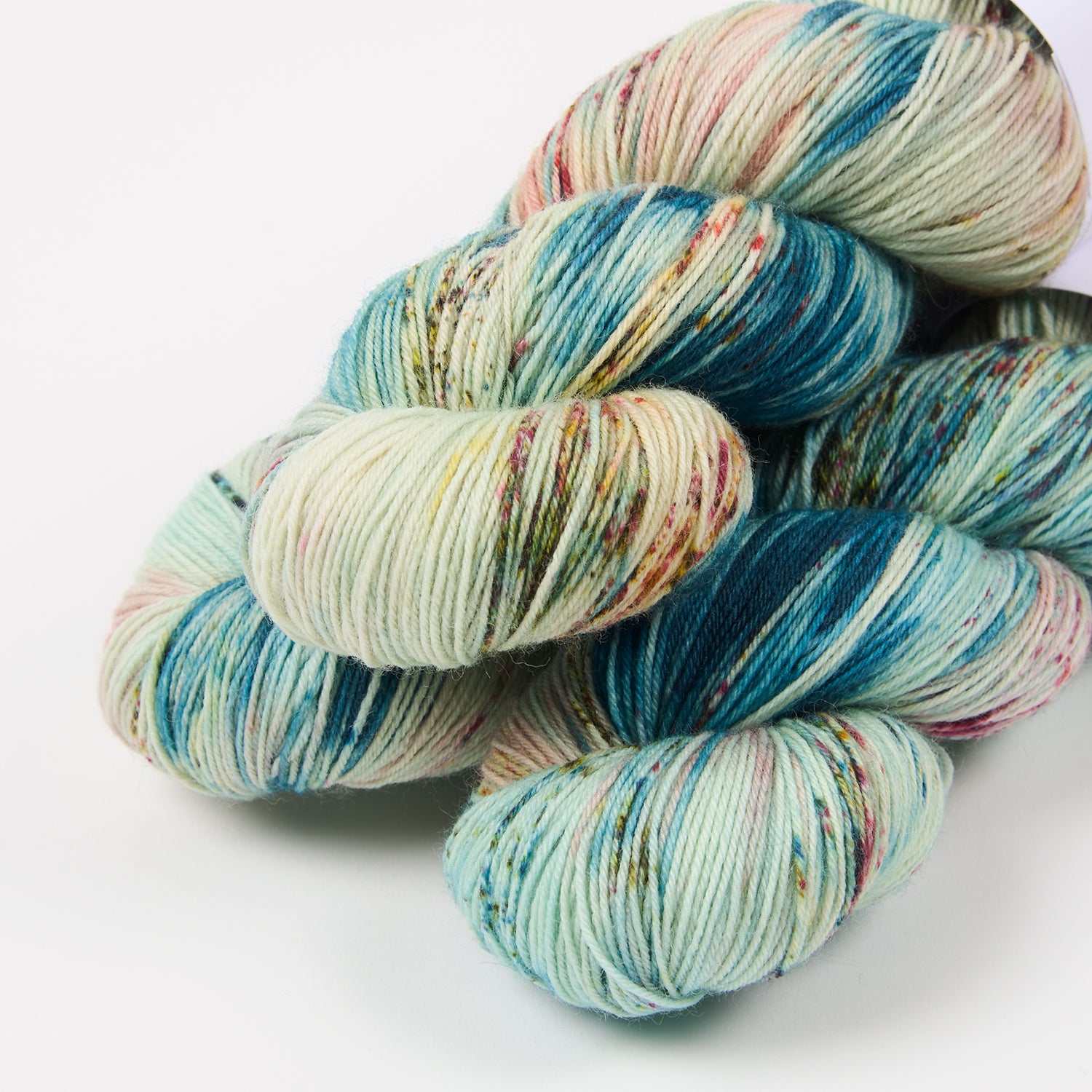 BIRDSTREET BFL - DOYOUTHINKHESAURUS?