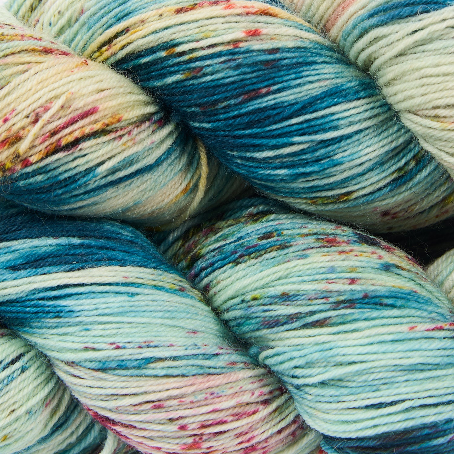 BIRDSTREET BFL - DOYOUTHINKHESAURUS?