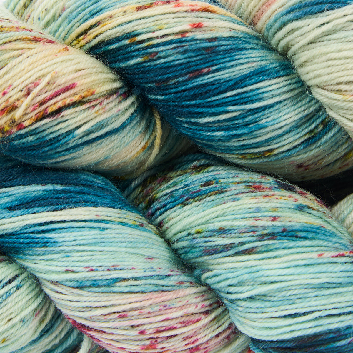 BIRDSTREET BFL - DOYOUTHINKHESAURUS?