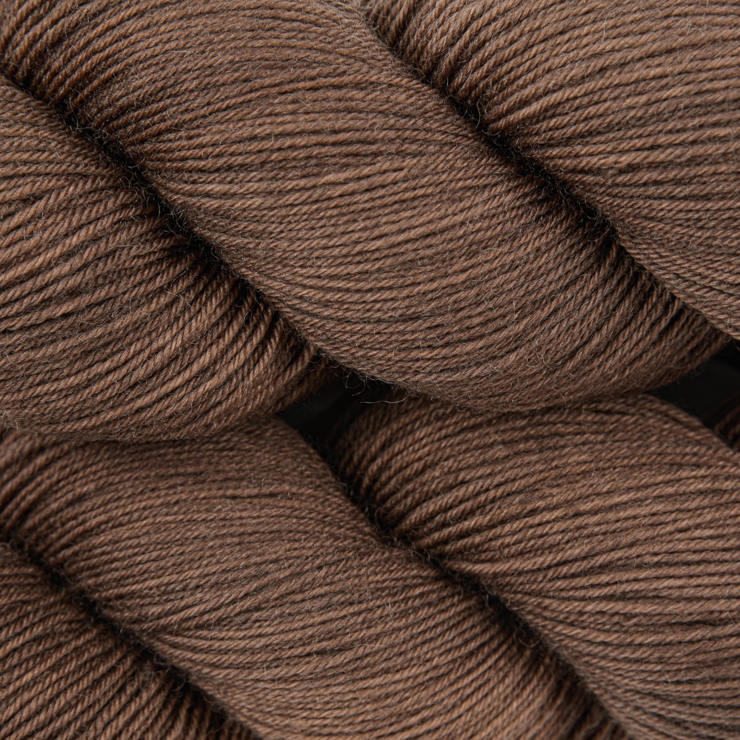 Olivia BFL - Cacao