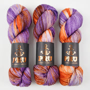 Punk Rock Unicorn SOUL DK - CINNAPLUM Merino wool Nylon DK Sock multicolour Yarn
