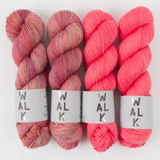 WALK Collection CORAL BLUSH Merino wool Fingering Quick Kits