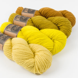 WESTKNITS KIT - CUP OF MUSTARD