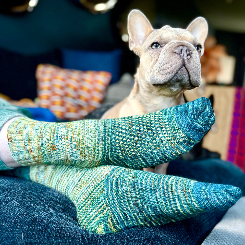 Fabulous Westknits Kits CAFE KNITTING SOCKS Fingering Westknits Kits