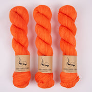 Dark Omen Yarn MERINO SOCK - CARROT Merino wool Nylon Fingering orange Yarn