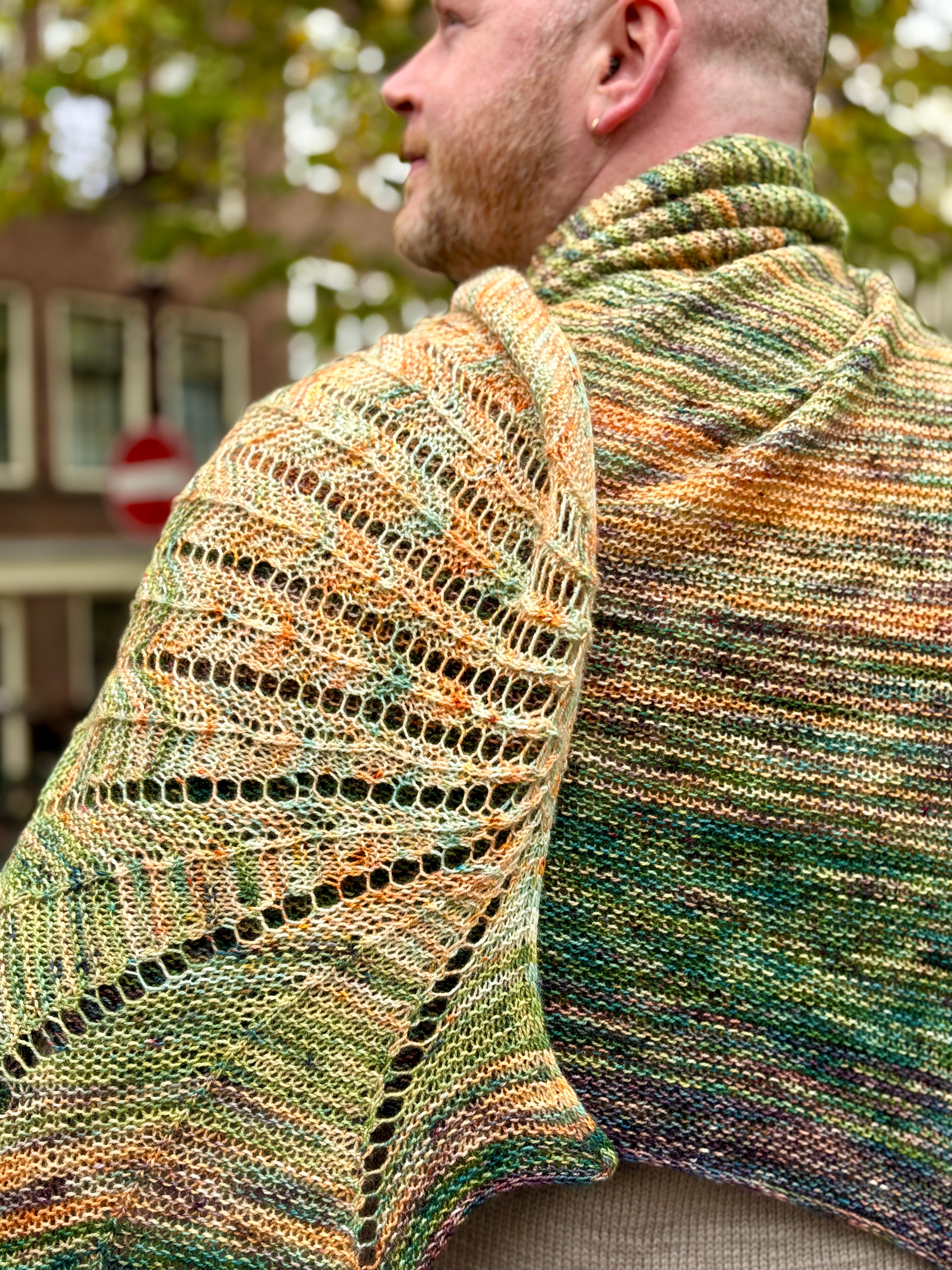 CHEVRON SHENANIGANS PATTERN