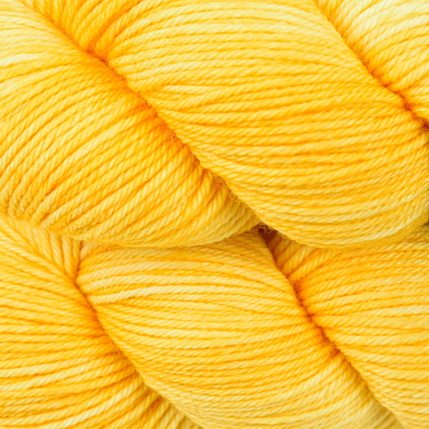 Soul DK - Daffodil