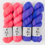 WALK Collection DAZZLING IRIS Merino wool Fingering Quick Kits