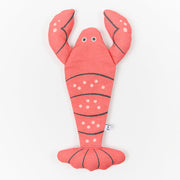 Don Fisher LOBSTER CASE red Project Bags