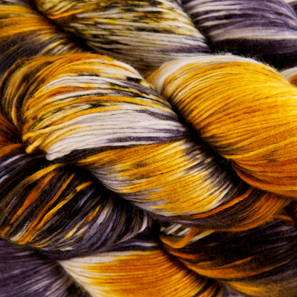 Dashing Sassy - Fawkes
