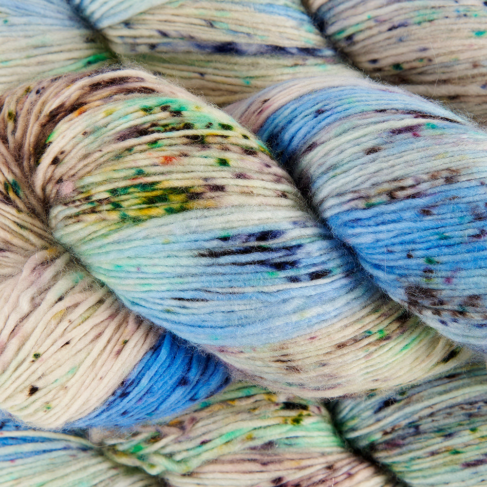 Dashing Sassy - Northern Lights
