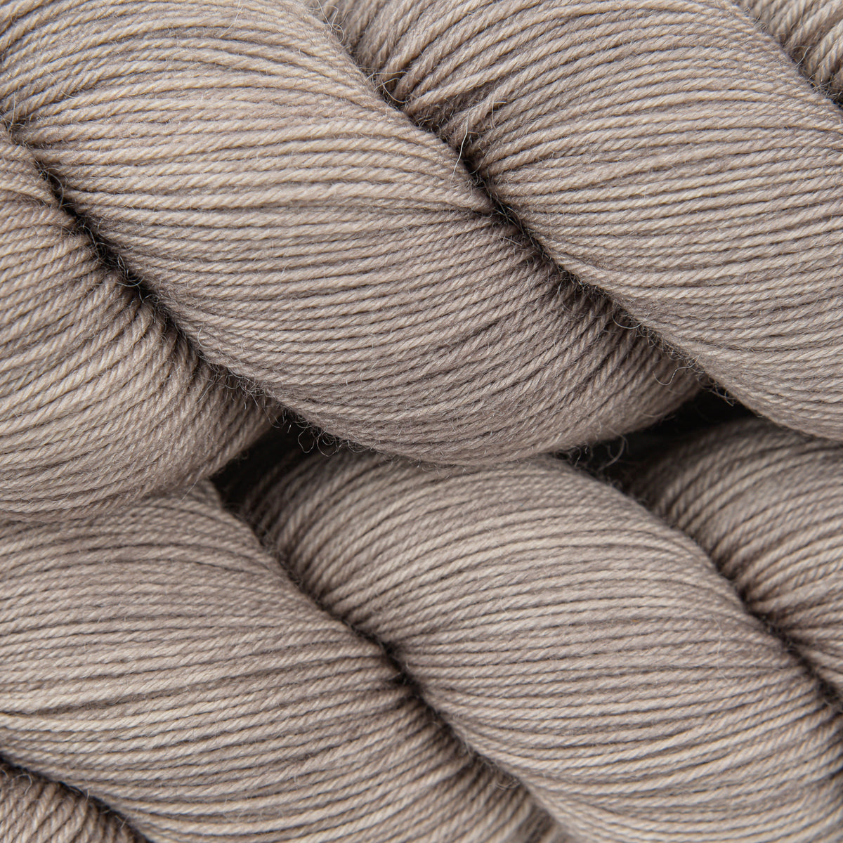 OLIVIA BFL - EL CAPITAN