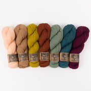 West Wool ENCHANTED BISCUIT Merino wool Fingering Quick Kits