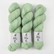 WALK Collection WALK MERINO DK - FERN Merino wool DK green Yarn