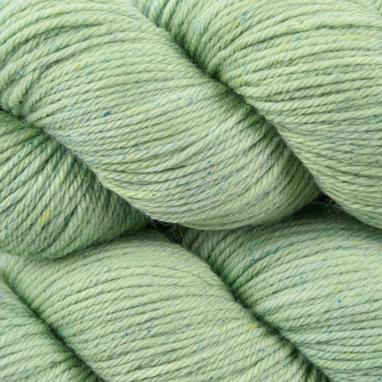 Walk Merino DK - Fern