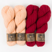 West Wool RED SNAPPER Merino wool Fingering Quick Kits