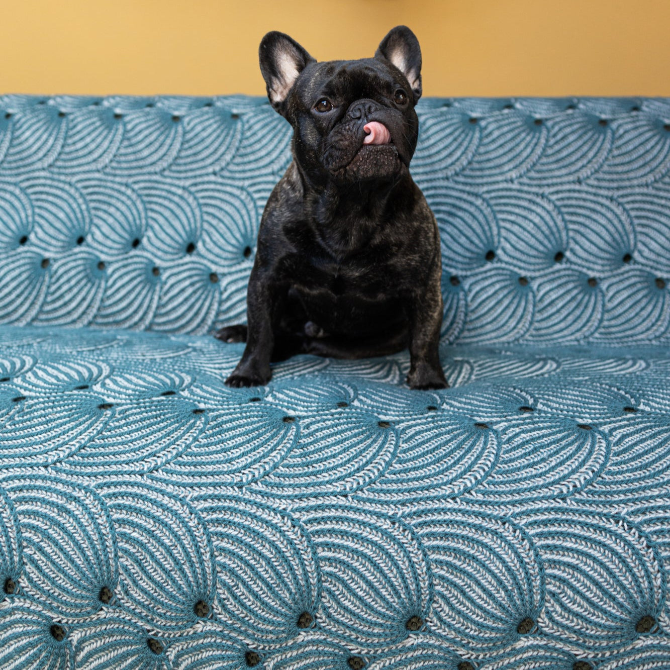 This image shows a dog sitting on a beautifully knitted sample of the Flying Foxtail Blanket by Westknits in grey and blue tones. 