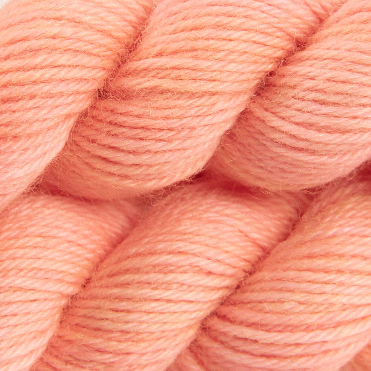 SWEET SOCK MINI - FRESHLY SQUEEZED