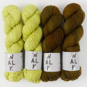 WALK Collection GOLDEN FOLIAGE Merino wool Fingering Quick Kits