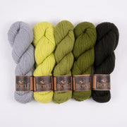 West Wool GREEN PRODUCE Merino wool Fingering Quick Kits