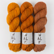 WALK Collection HAZELNUT FORAGER Merino wool Fingering Quick Kits